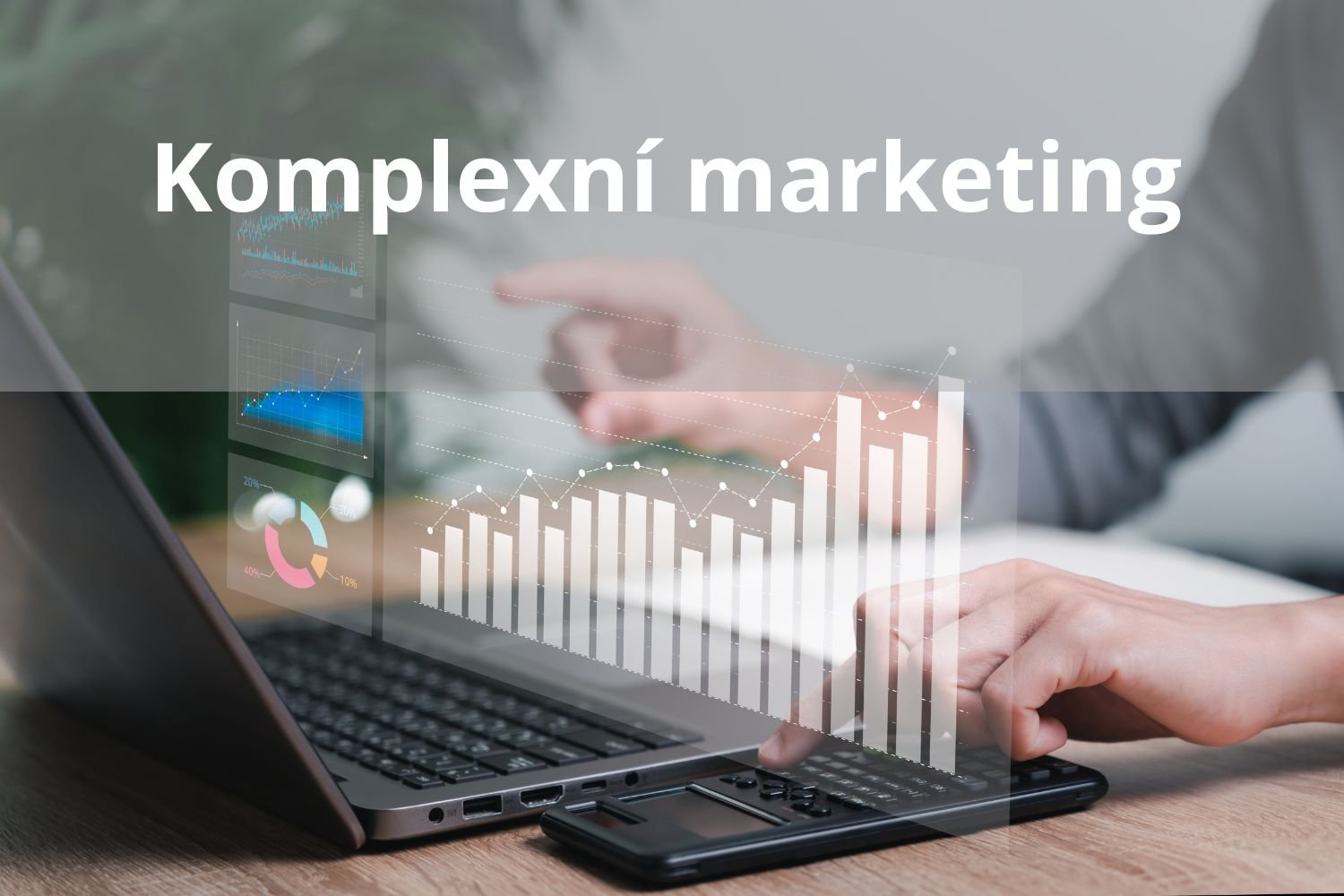 Komplexni marketing text