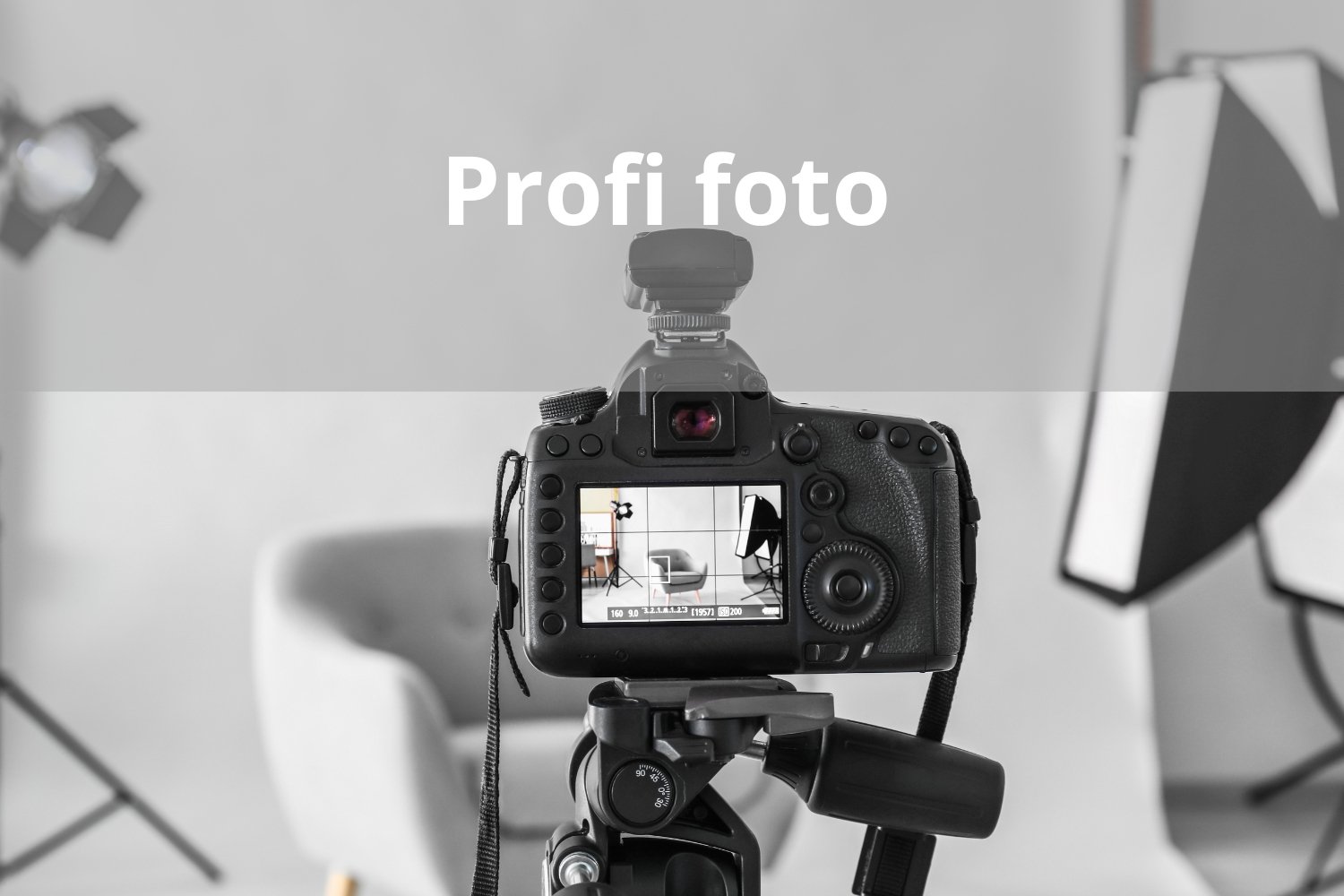 Profi foto Aktivreality text