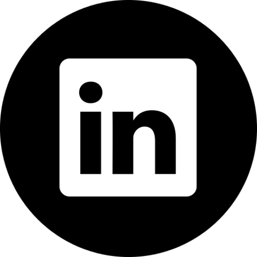 linkedin_ikonka