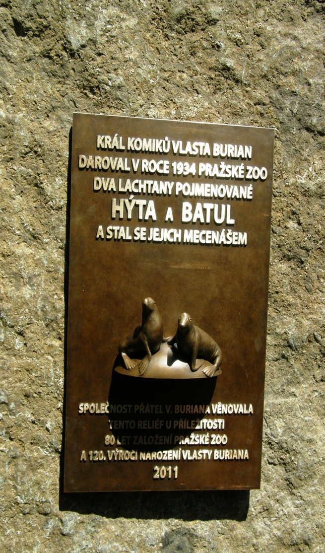 Obrázek15